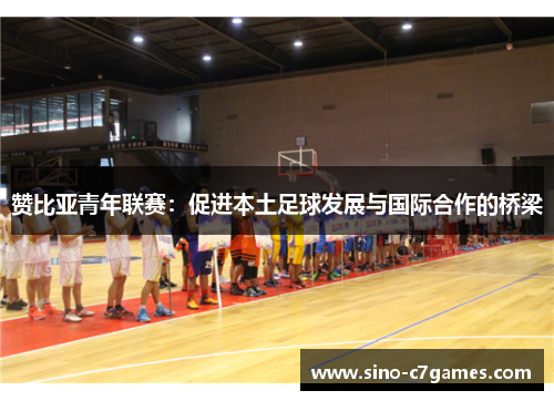 赞比亚青年联赛：促进本土足球发展与国际合作的桥梁