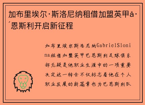 加布里埃尔·斯洛尼纳租借加盟英甲巴恩斯利开启新征程